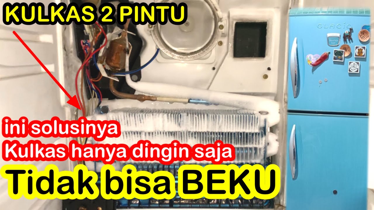 GAMPANG,,SOLUSI KULKAS 2 PINTU DINGIN TAPI TIDAK BISA BEKU