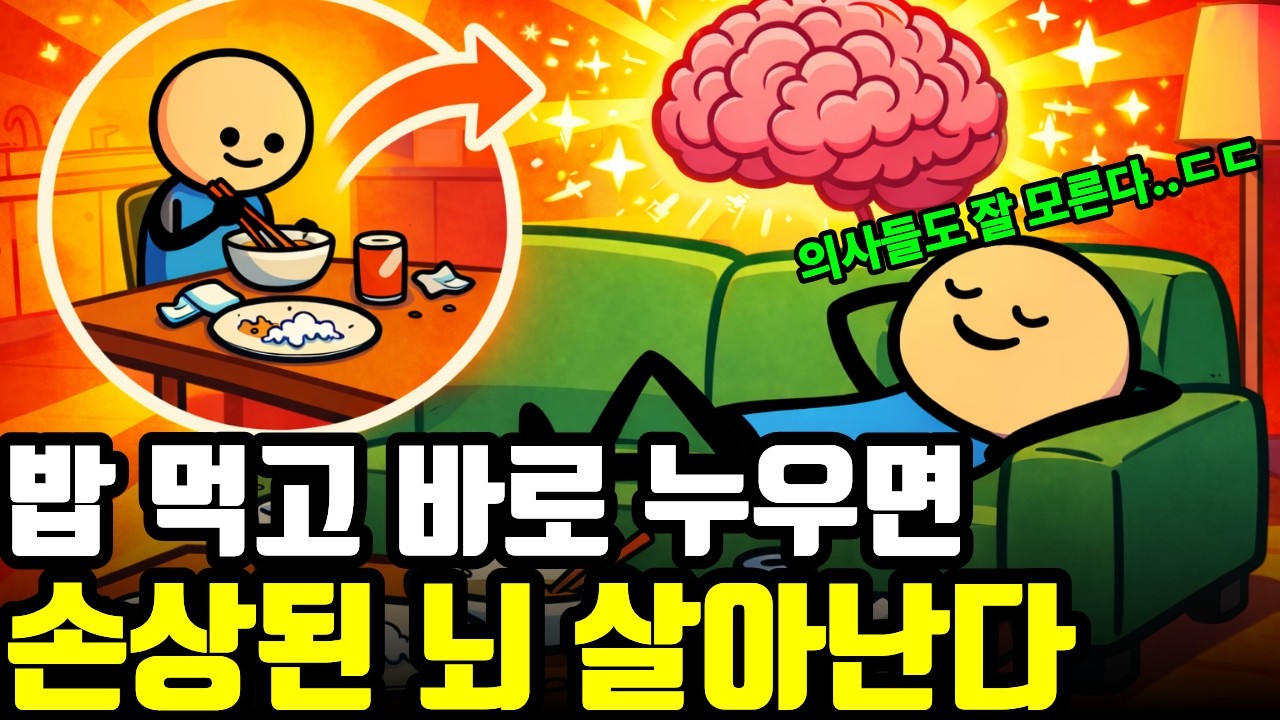 밥 먹고 바로 누우면 안 된다는 상식, 당신의 '뇌 건강' 상태에 따라 정답은 바뀝니다.