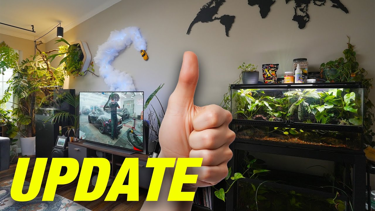 This Is My FISH and Plant Room Today! Jungle Room Tour