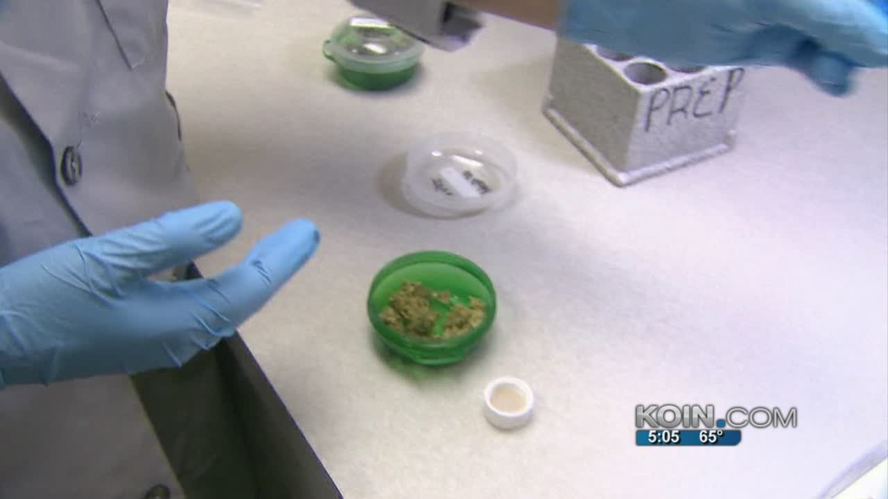 No oversight for Ore. medical pot testing labs