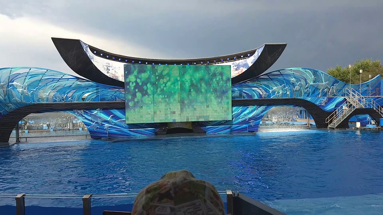 2019 One Ocean SeaWorld Orlando show p1