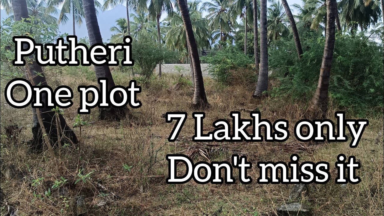 Project Number: 350.                    Nagercoil Putheri Land for sale One Plot 7 lakhs only