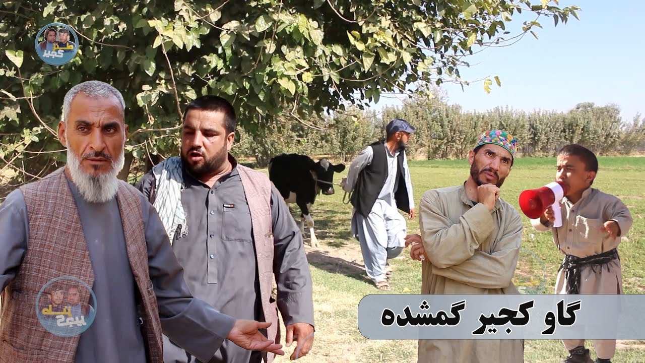 نمایش، گاو🐄کجیر گم شده 