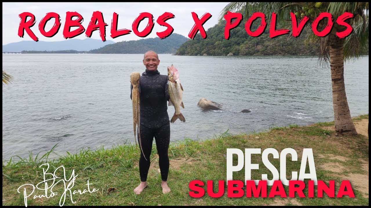 🔱PESCASUB | SPEARFISHING🔱- Robalos X Polvos