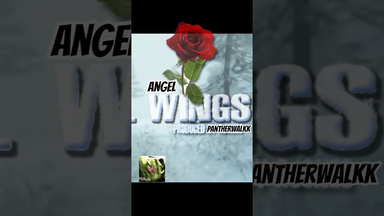 Angel wings #pantherwalkk #new #rite2lifeundaground #music #hardcorehiphop #hiphop