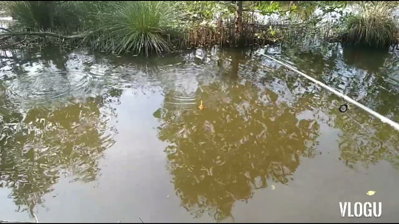 Free Fishing Spot Malolos Bulacan. Climbing Pearch(martiniko) Fishing.