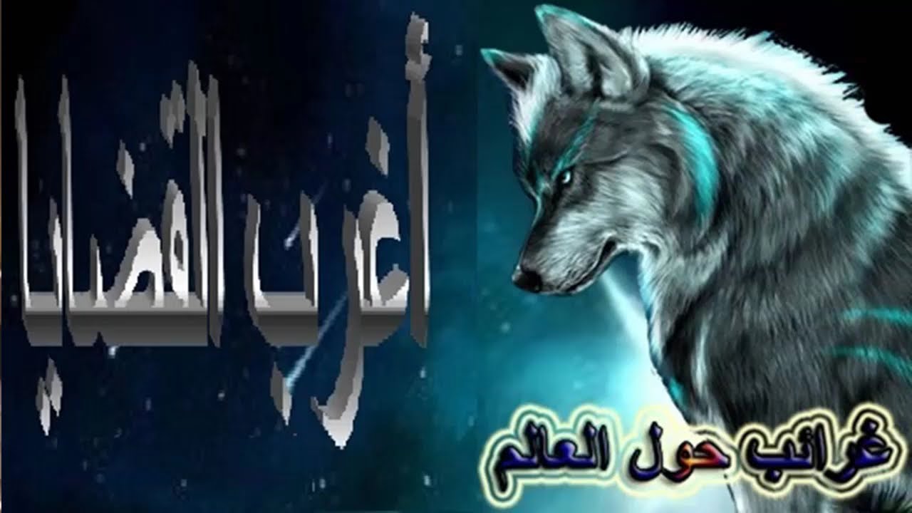 أغرب القضايا & من الحياة & من أرشيف المحاكم & من الجاني & حلقات مجمعة 1