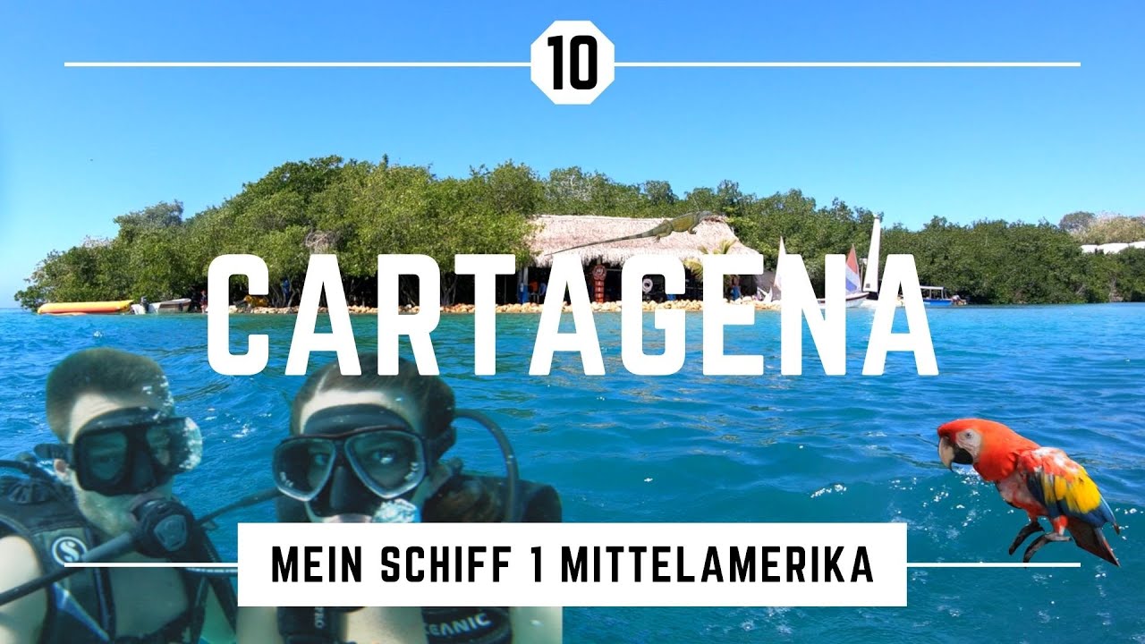 Reef Diving, exotic Zoo | Cartagena | 10. Tag | Mein Schiff 1 "Mittelamerika" | 4K