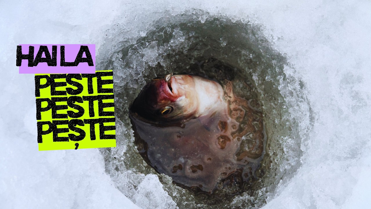 Hai la PEȘTE PEȘTE PEȘTE!