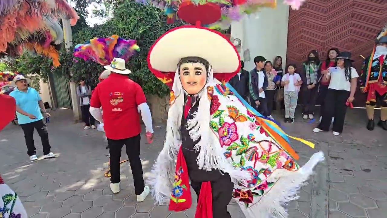 Carnaval Tepeyanco camada del pueblo culebra 2026