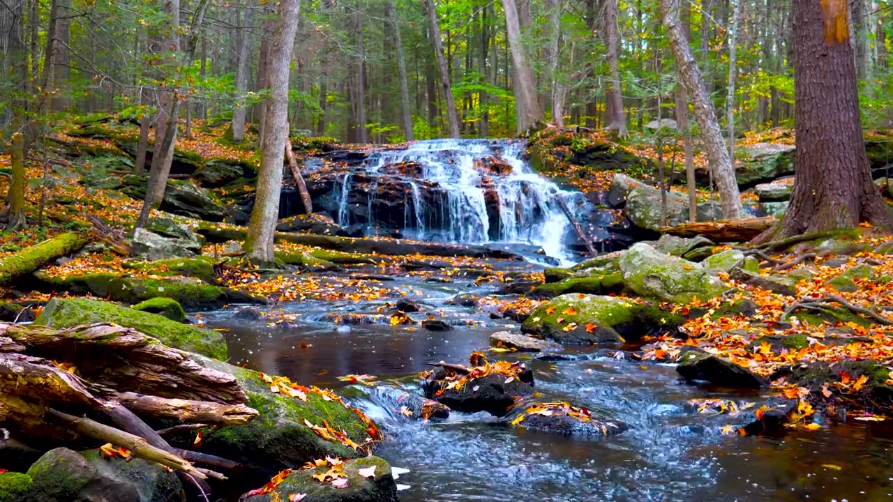 4k UHD Autumn Waterfall flowing Sound. Flowing Water, White Noise, Waterfall Sounds for Sleeping.