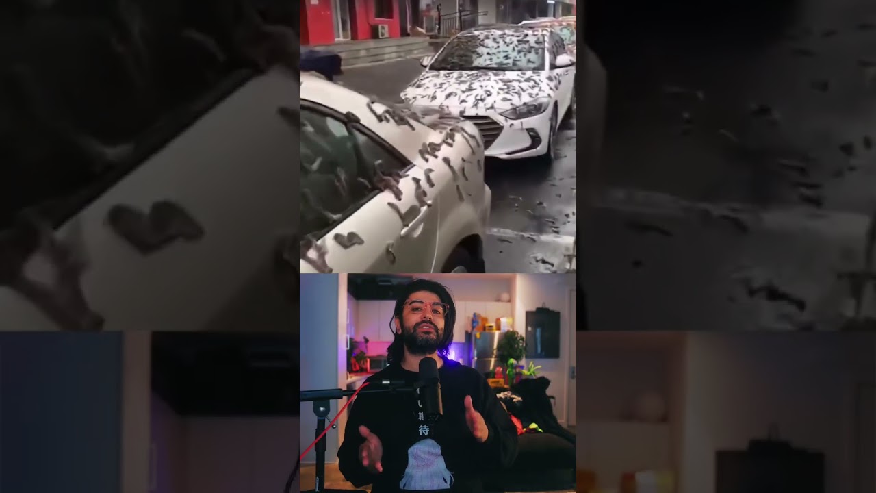 Raining worms in china #shorts