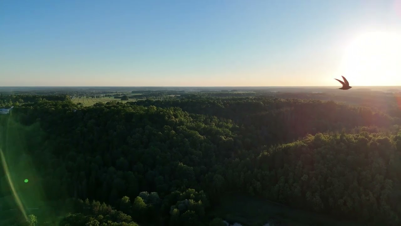 Latvia, Sigulda. Drone 4K