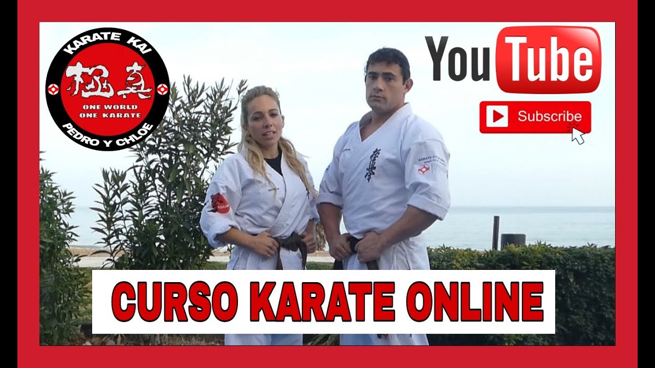 Curso karate online gratis 10 kyu entrenamiento en casa Karate kai real fight. FightTips