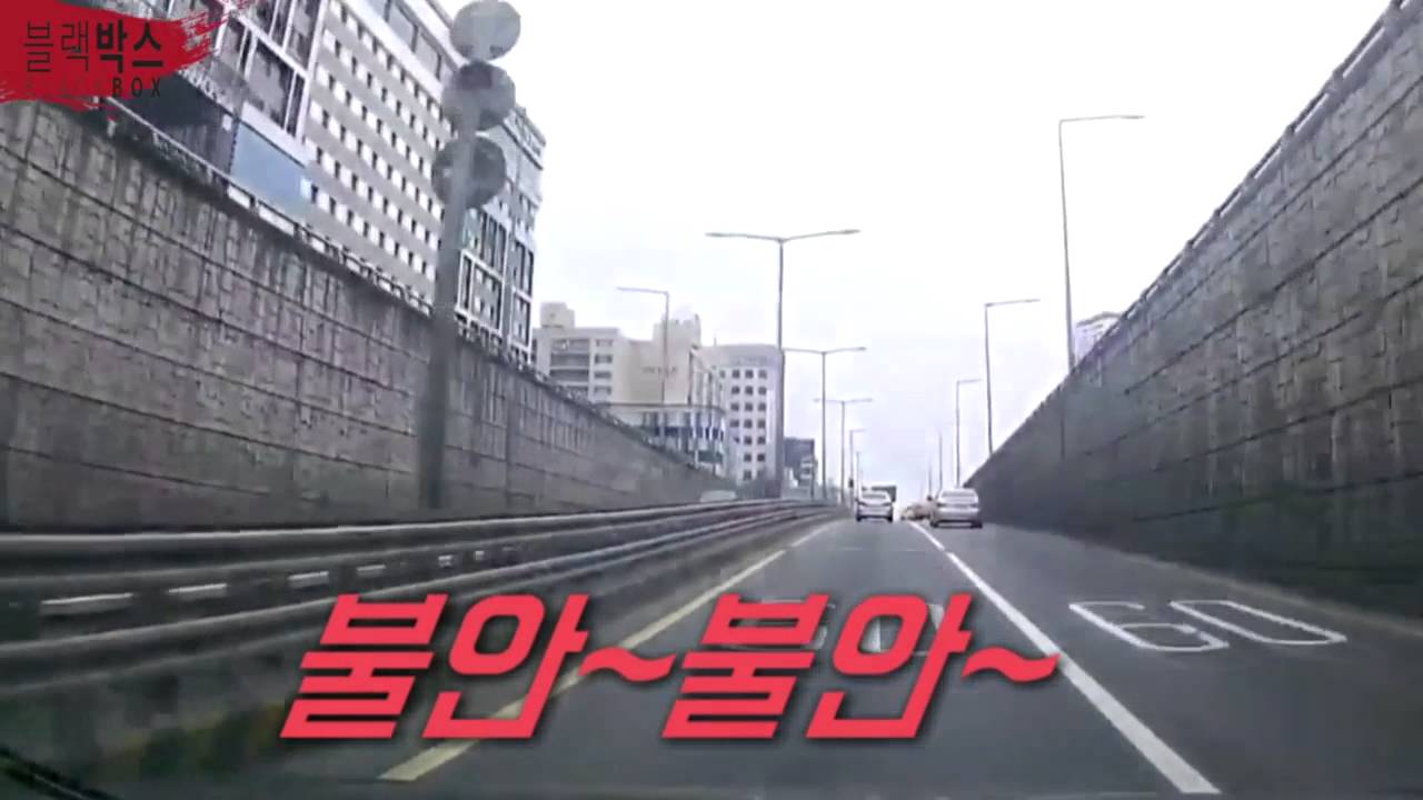 출근길 역주행으로 지하차도 진입하기 도전??