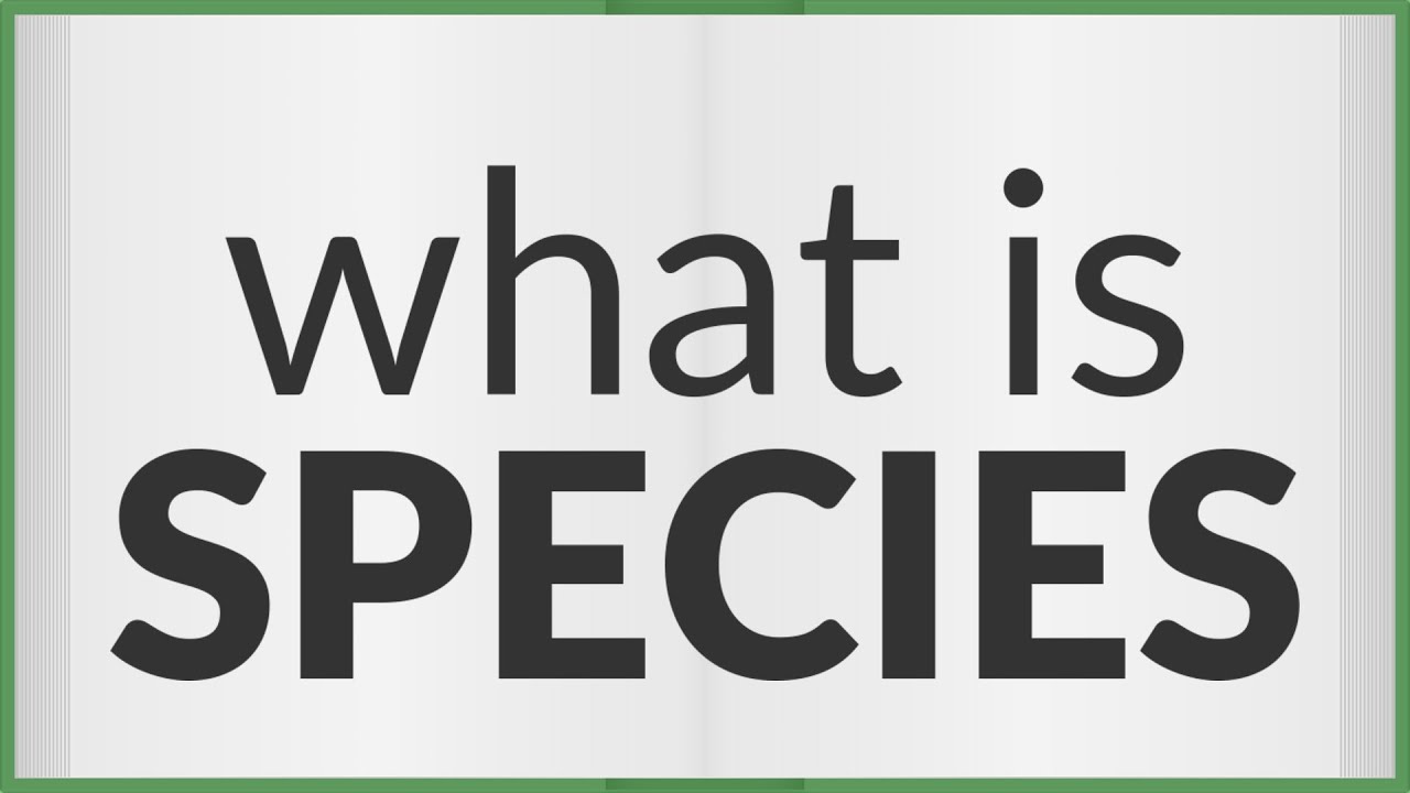 Species | meaning of Species