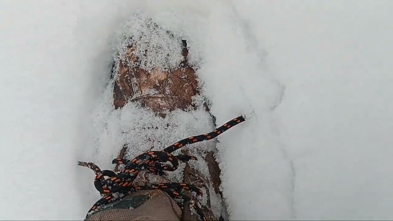 GOT LOTS OF SNOW #snow #winterstorm #snowstorm 