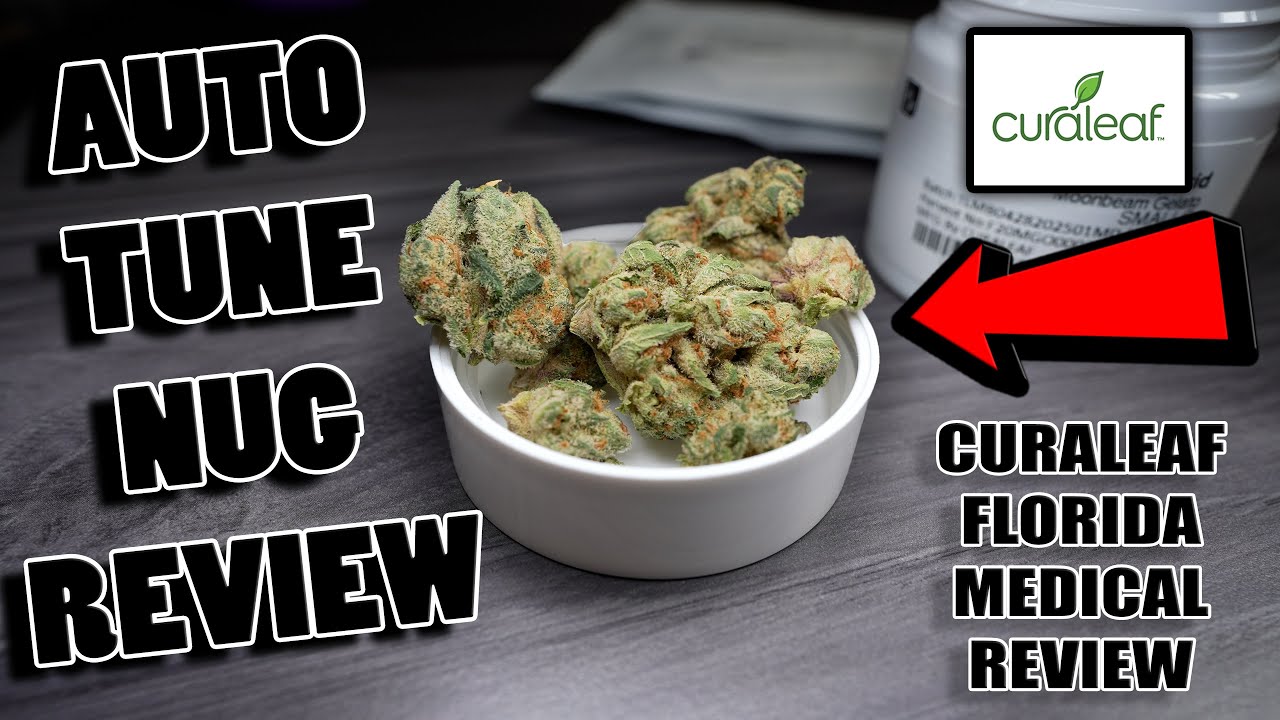 Auto Tune Nug Review