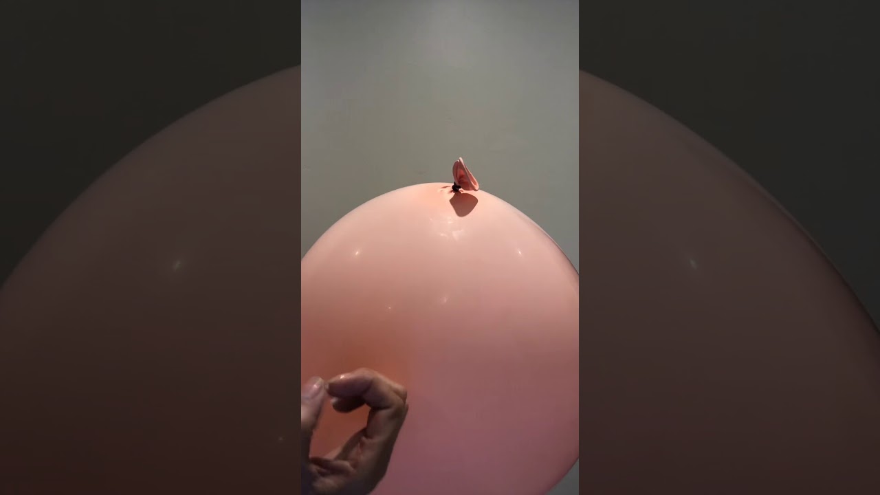 ASMR Balloon big half inflated #blowballoon #balloons #prettynails #prettyhands #pinch #nailpopping