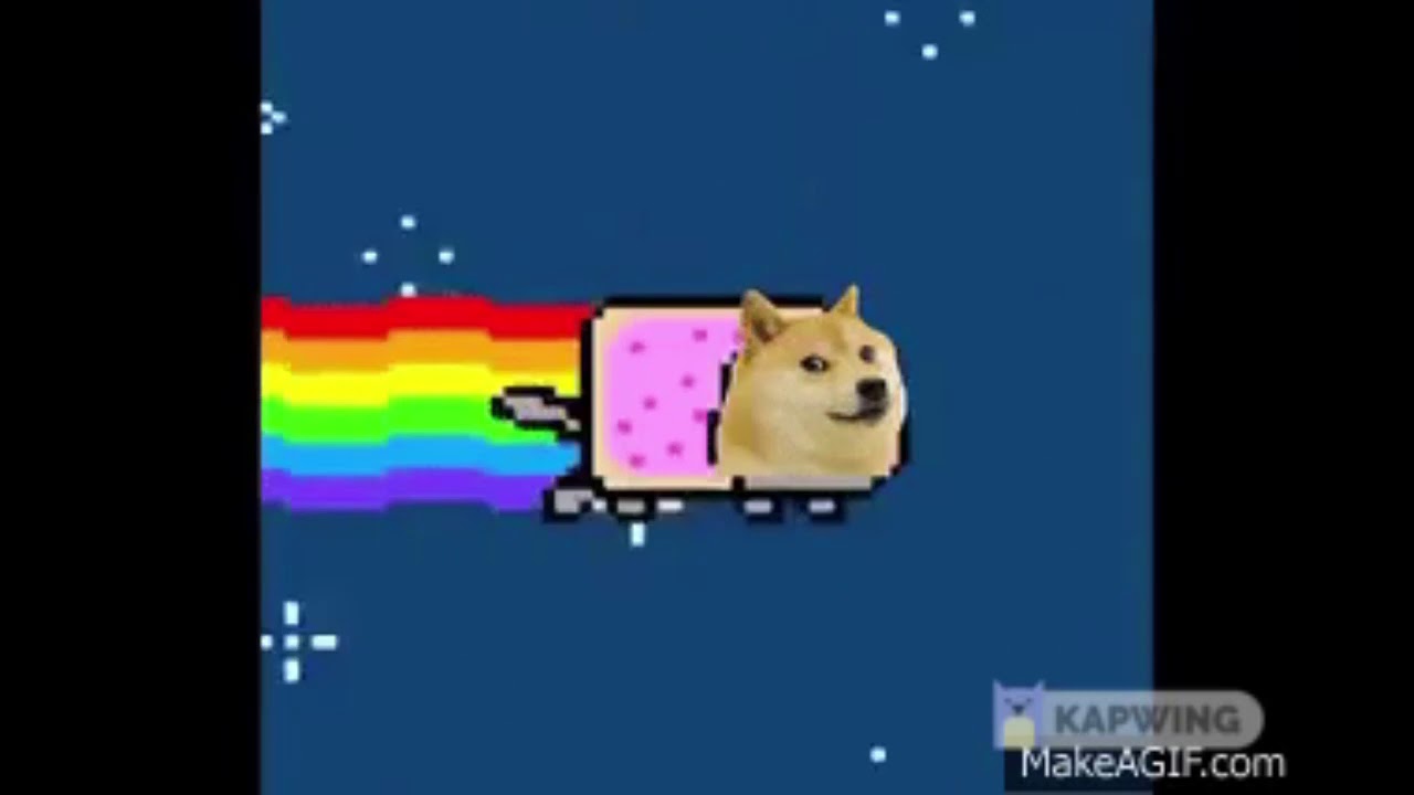 Nyan Doge to the moon #Dogecoin