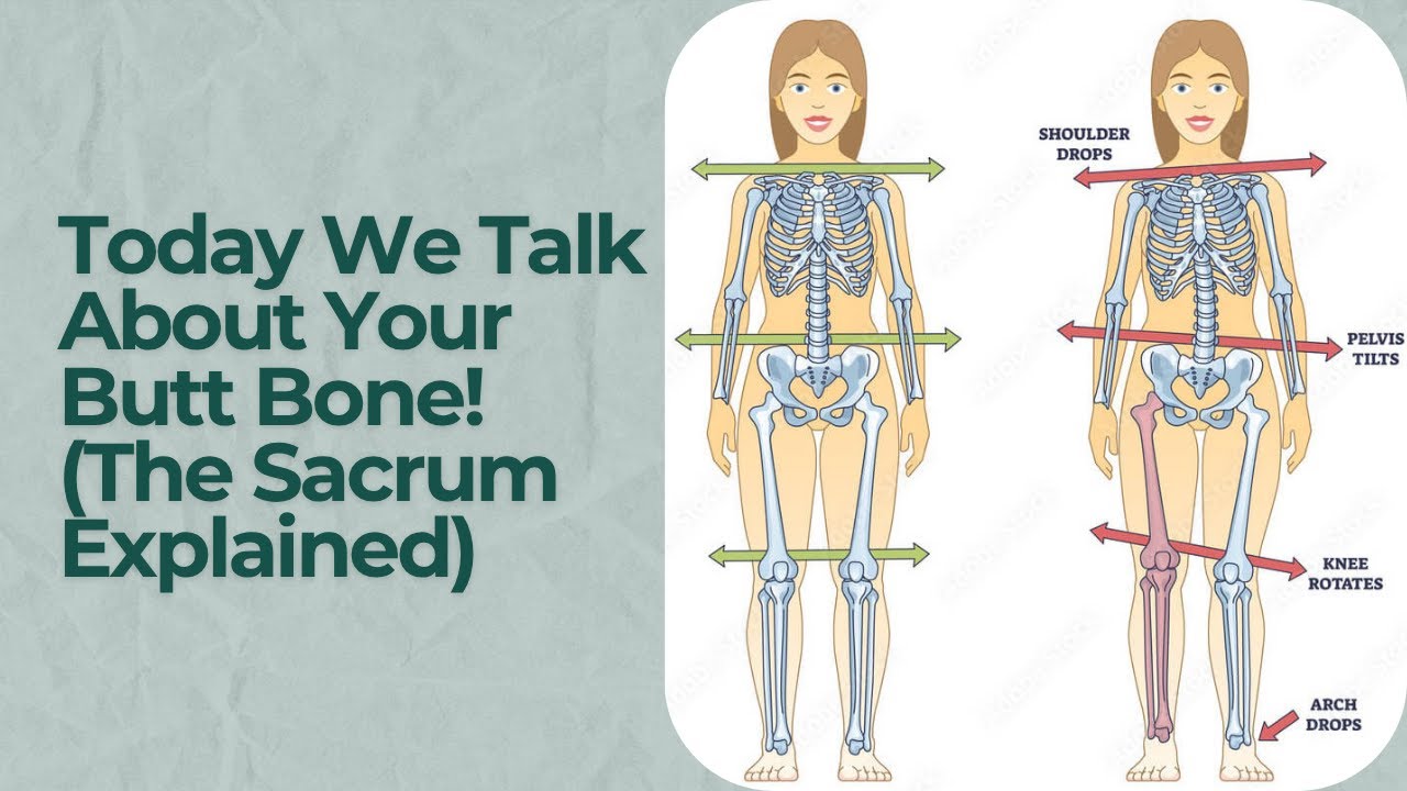 Today We Talk About Your Butt Bone! (The Sacrum Explained)