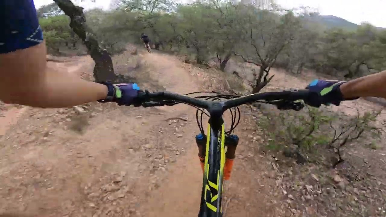 MTB xco JoyMed performance