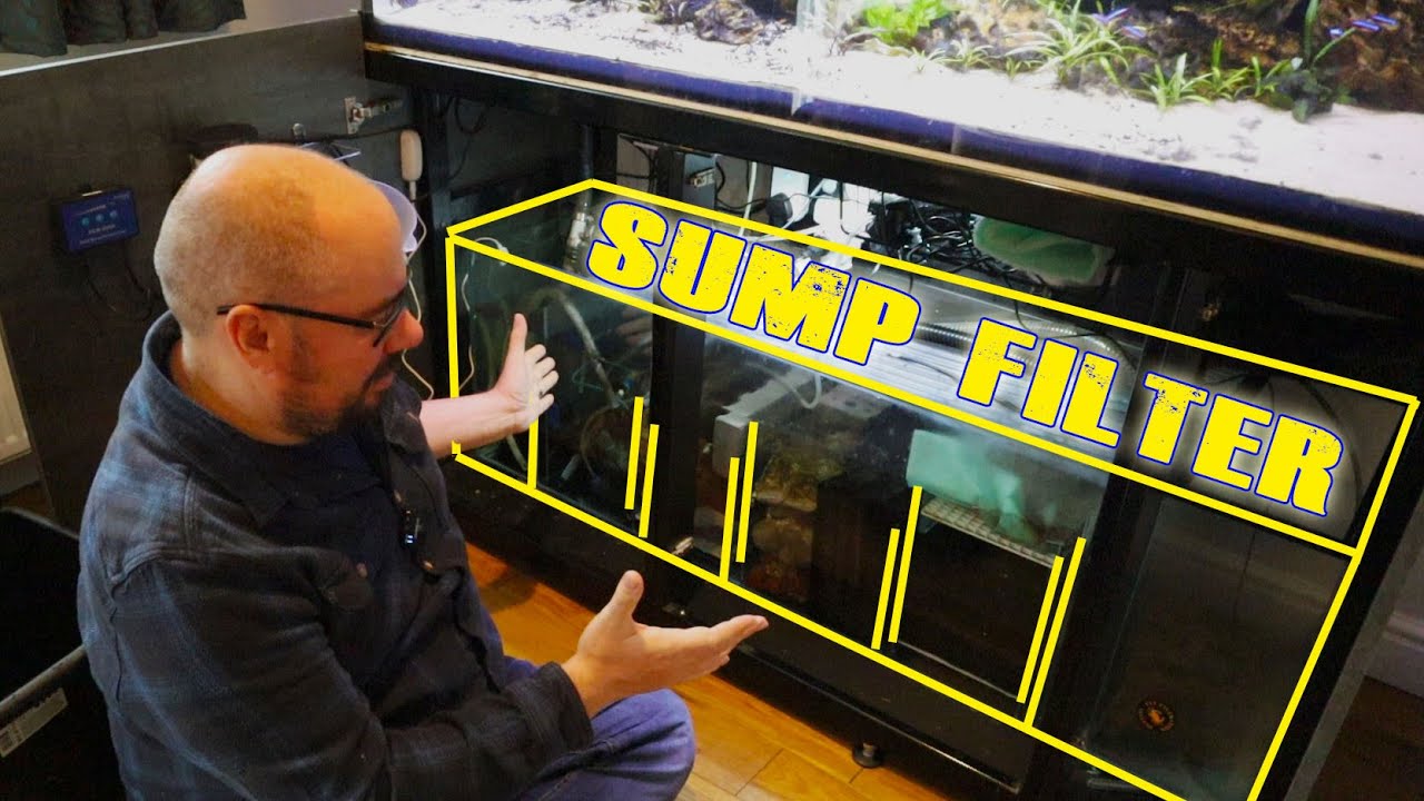 Freshwater Aquarium Sump - Discus filter