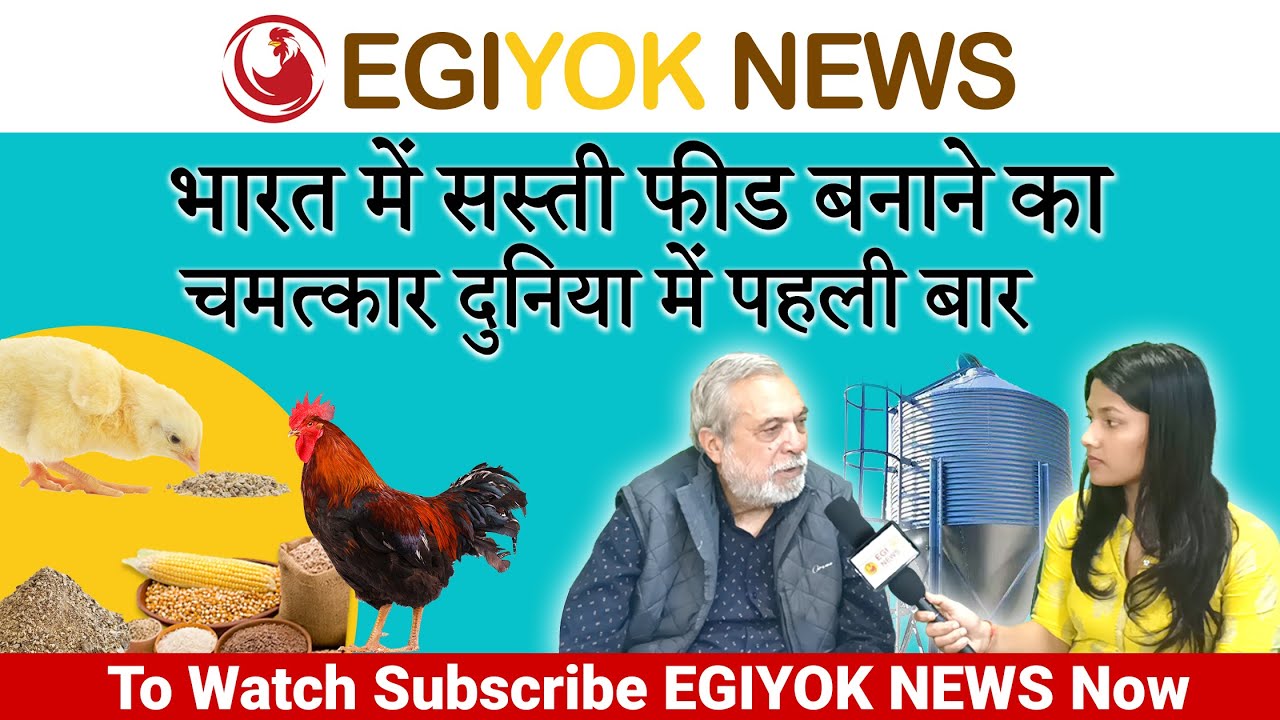 लेयर फीड में चमत्कार दुनिया में पहली बार | Poultry feed | Layer feed | Invention in poultry feed |