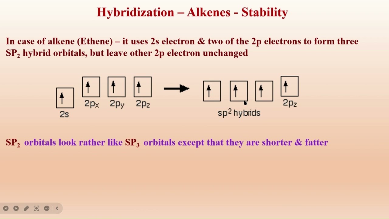 Hybridization of Carbon in Alkenes