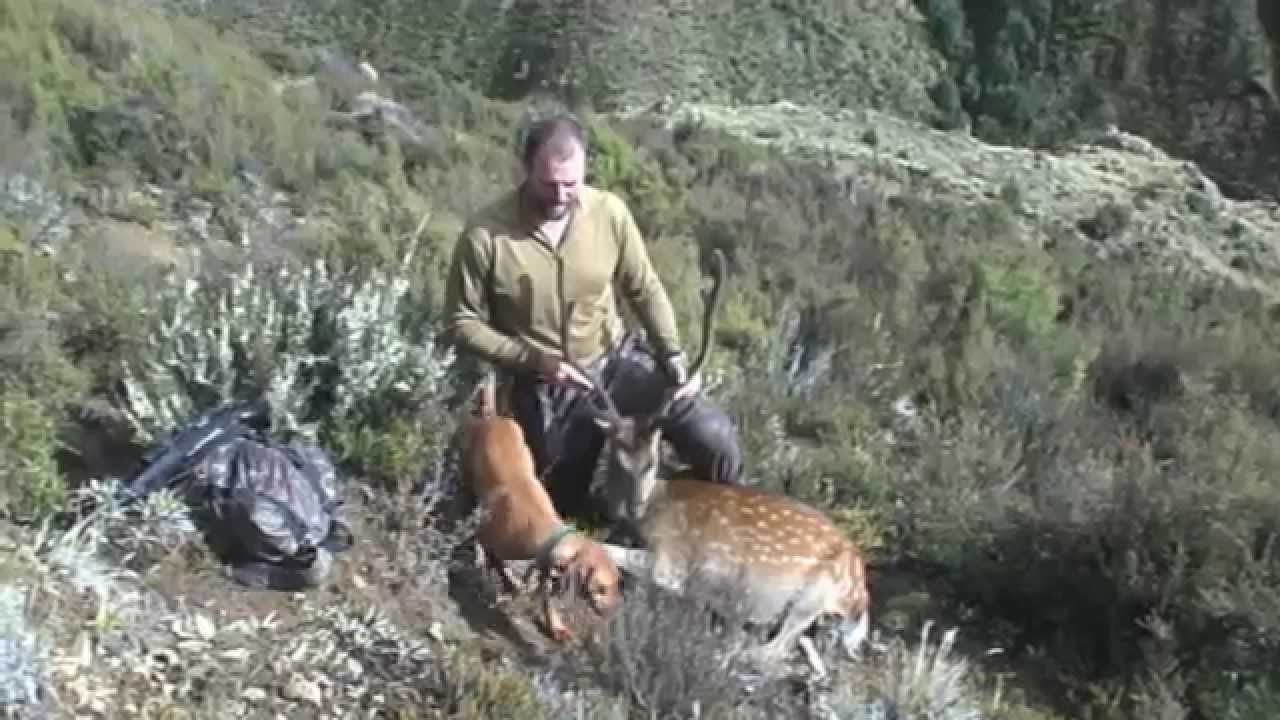 Backridge Butcher 2009 Hunting In The Kaweka's