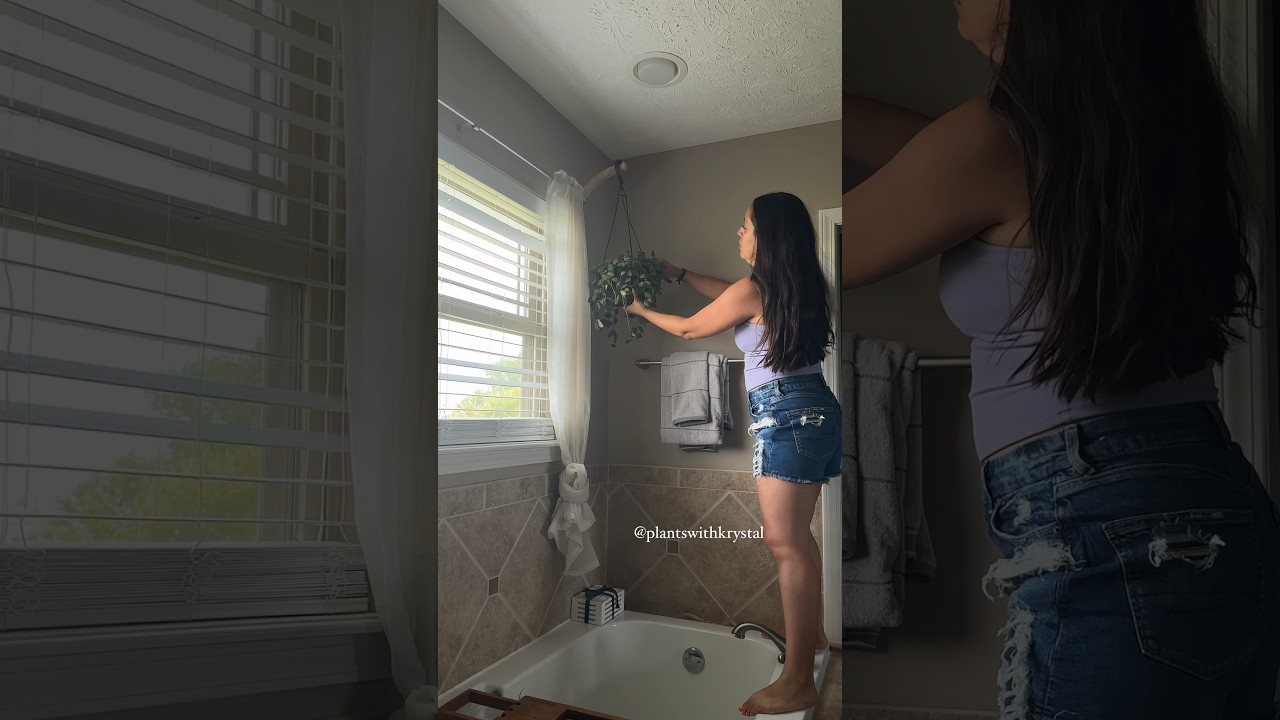 Come do some plant chores with me #plantcare #plantlovers #plantcare