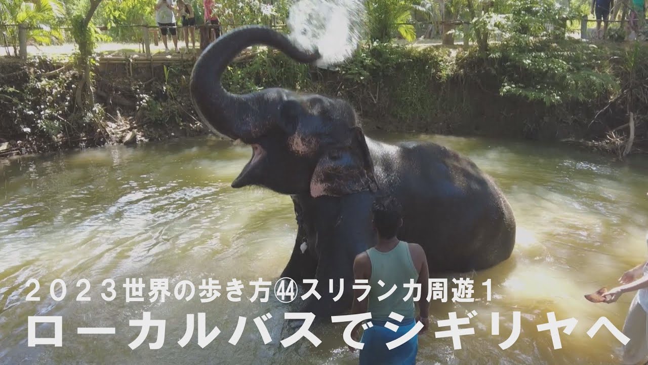 ㊹スリランカ周遊１ ローカルバスで世界遺産・シーギリヤロックへ