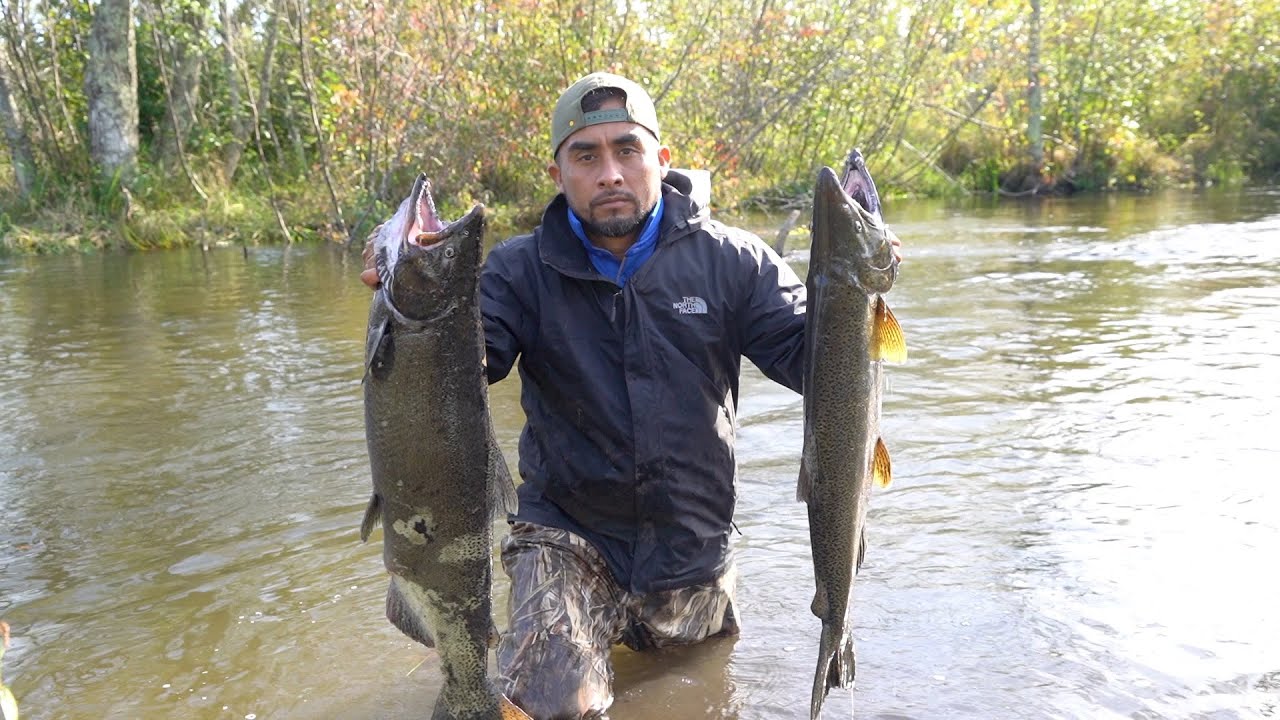 Pesca Y Cocina De Salmón Rey, En MICHIGAN