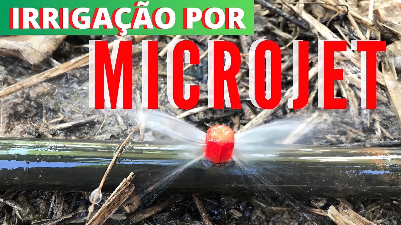 Montagem e considerações na irrigação por microjet na cultura da banana.