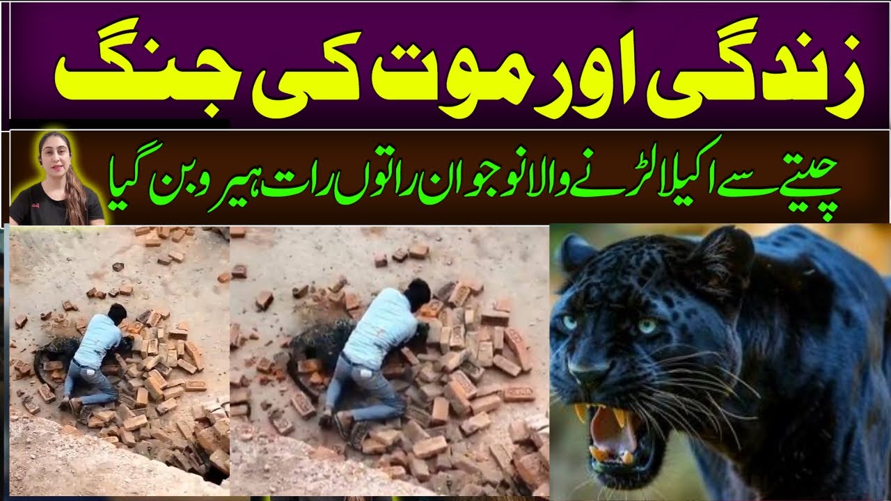 🟣Zindgi oR Mout ke Jung "Tiger Sy Tanha Larny Wala Hero Viral Video ||Latest News