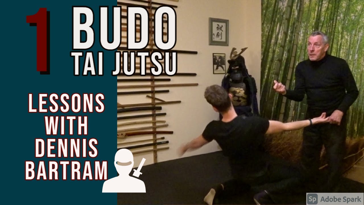 BUDO TAIJUTSU LESSON | Mis-Direction and controlling your opponent | Dennis Bartram