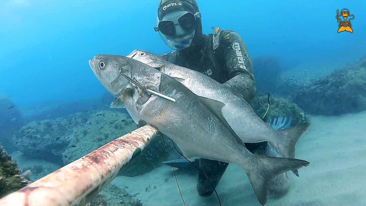 Pesca Sub: 
