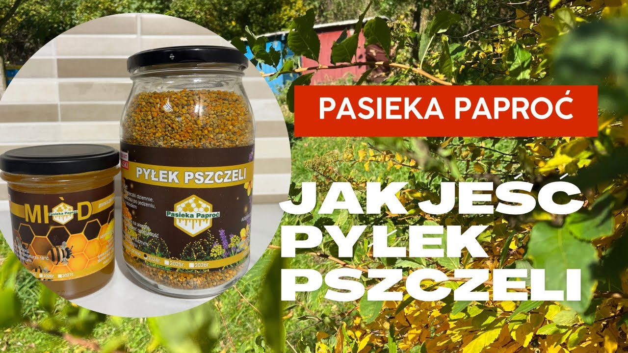 Pasieka paproć - Jak jeść pyłek pszczeli