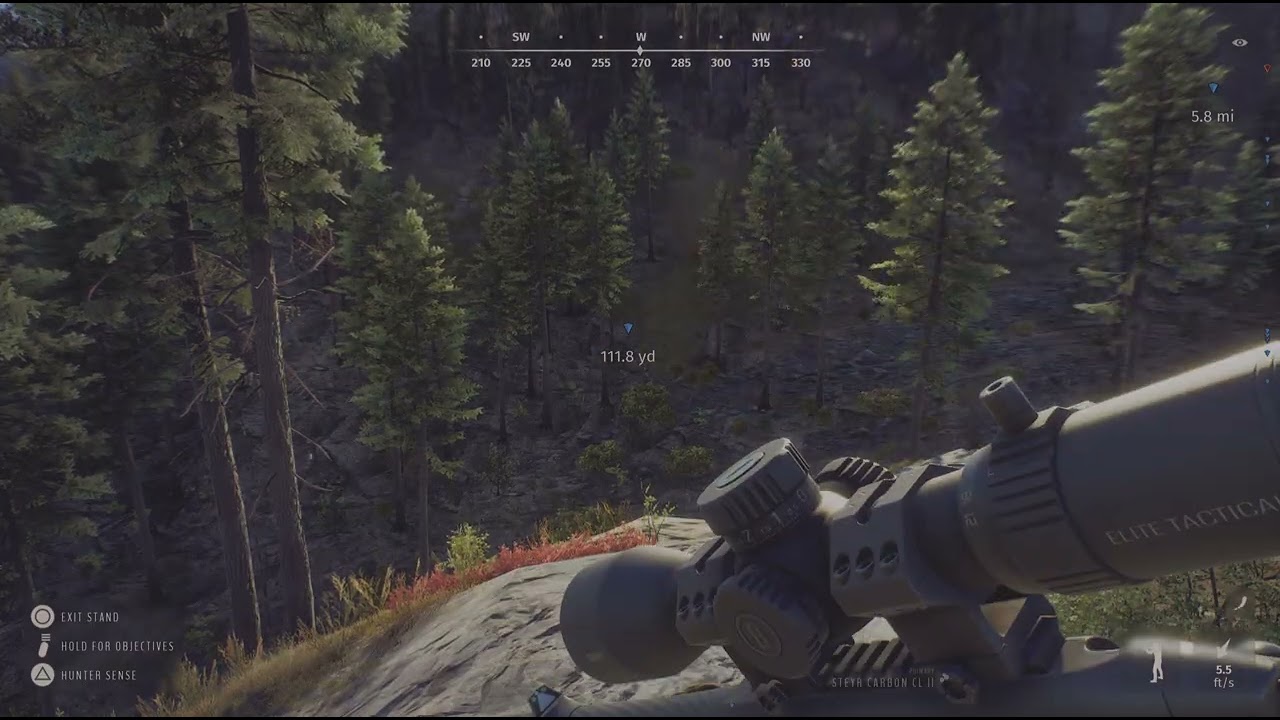 Way of the Hunter 5 Star Mule Deer 🦌🎯🏹💖 Nez Perce Diamond Drill