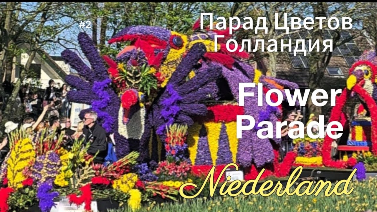 🌷Flower  Parade🌷Niederlande 🌷