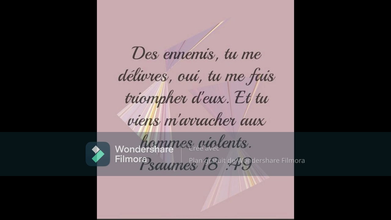 Je suis dans la joie