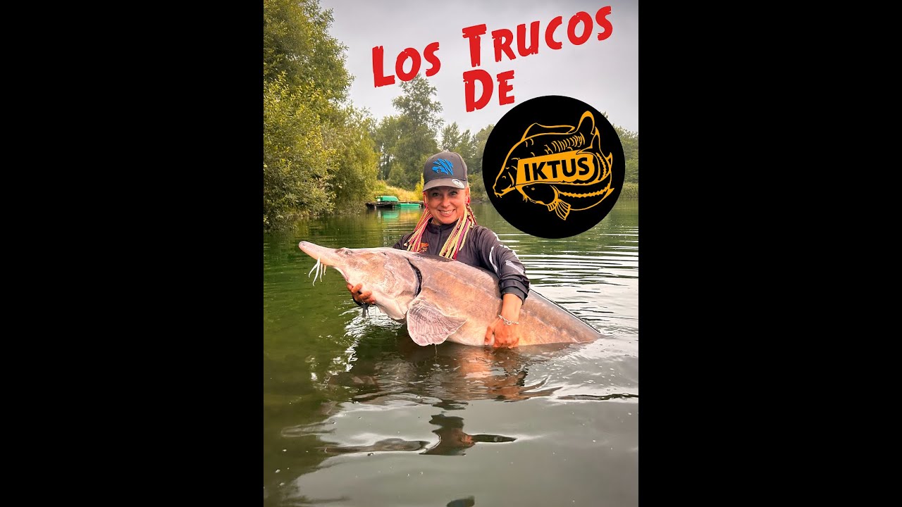Iktus Bearn 2024 Puesto 17