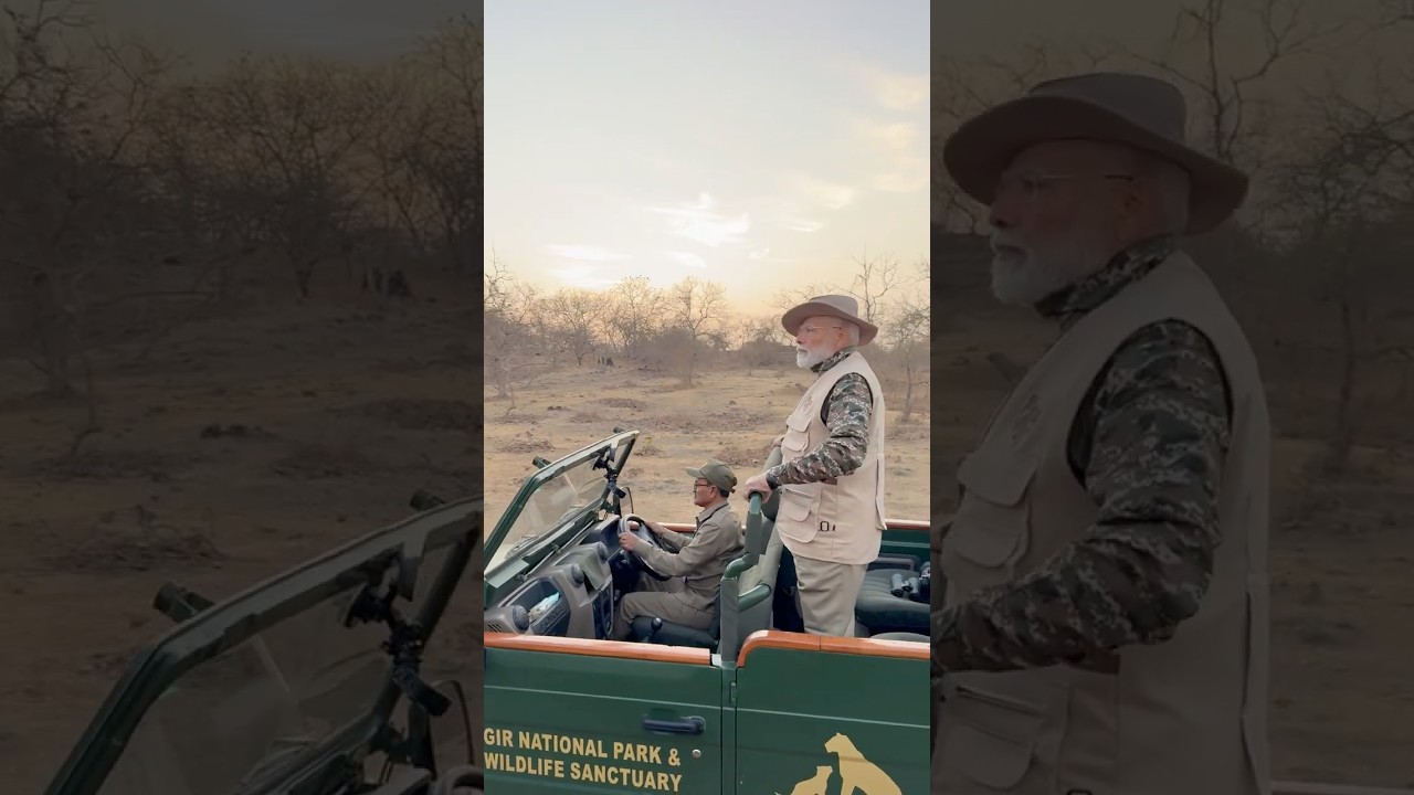PM Modi embarks on a thrilling Lion Safari at Gir National Park on World Wildlife Day