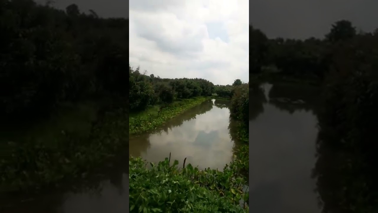 Hãy uống nửa đi anh...