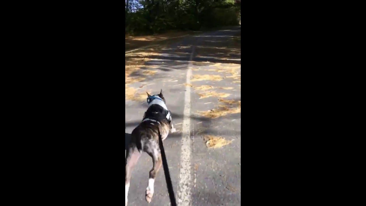 Former RCBTR resident Tate Rollerblading