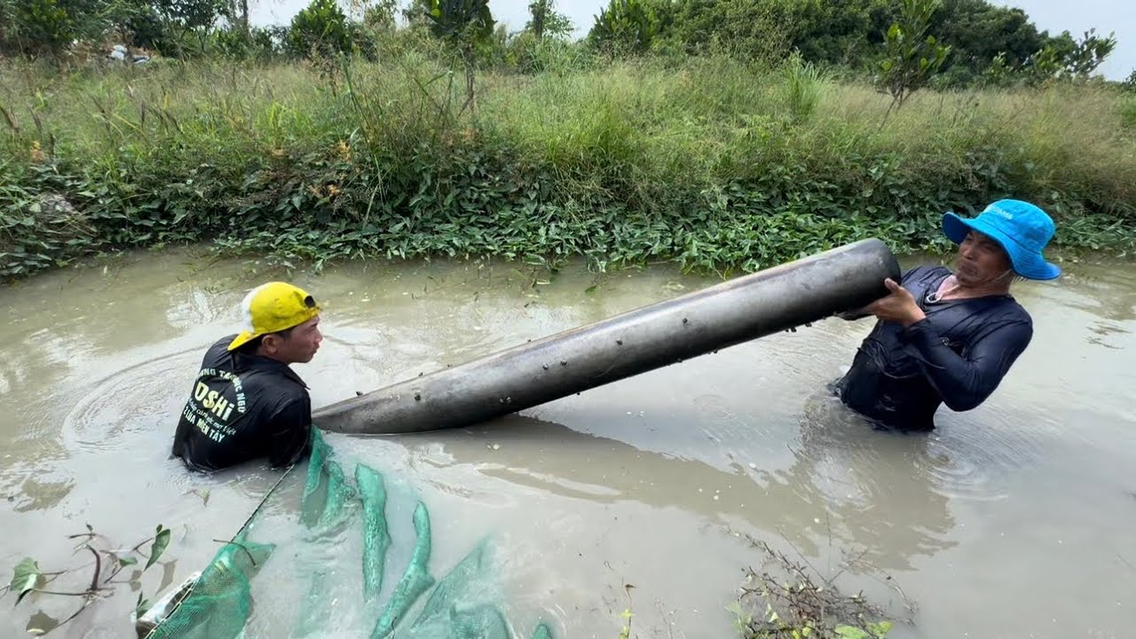 Lẩu Mắm Cá Lòng Tong Lai Rai Vài Ly Đế - TT2368