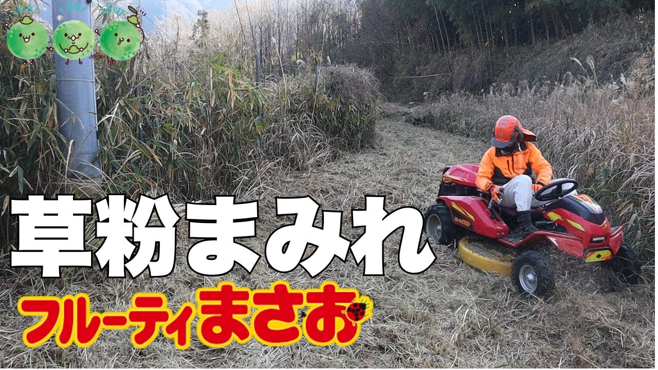 「フルーティーまさお」で栗畑横の耕作放棄地を刈る！花粉まみれになる。