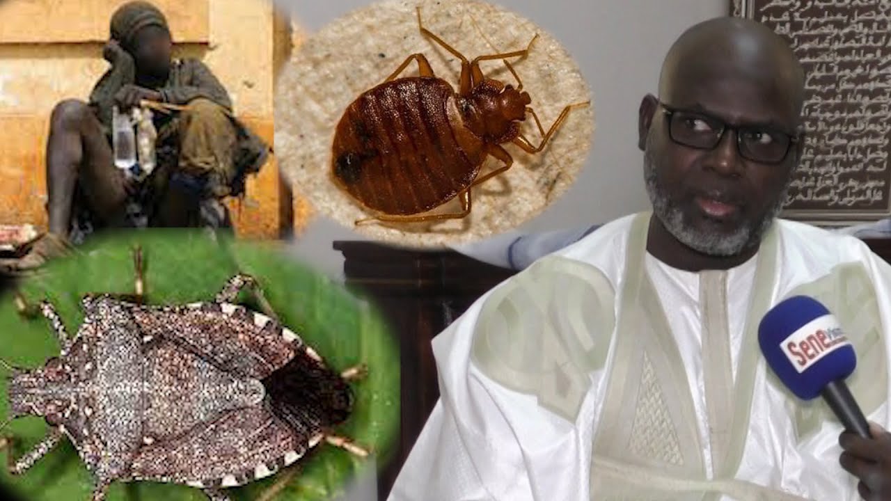 Allahu Akbarr Ndeké Rabou Matteu