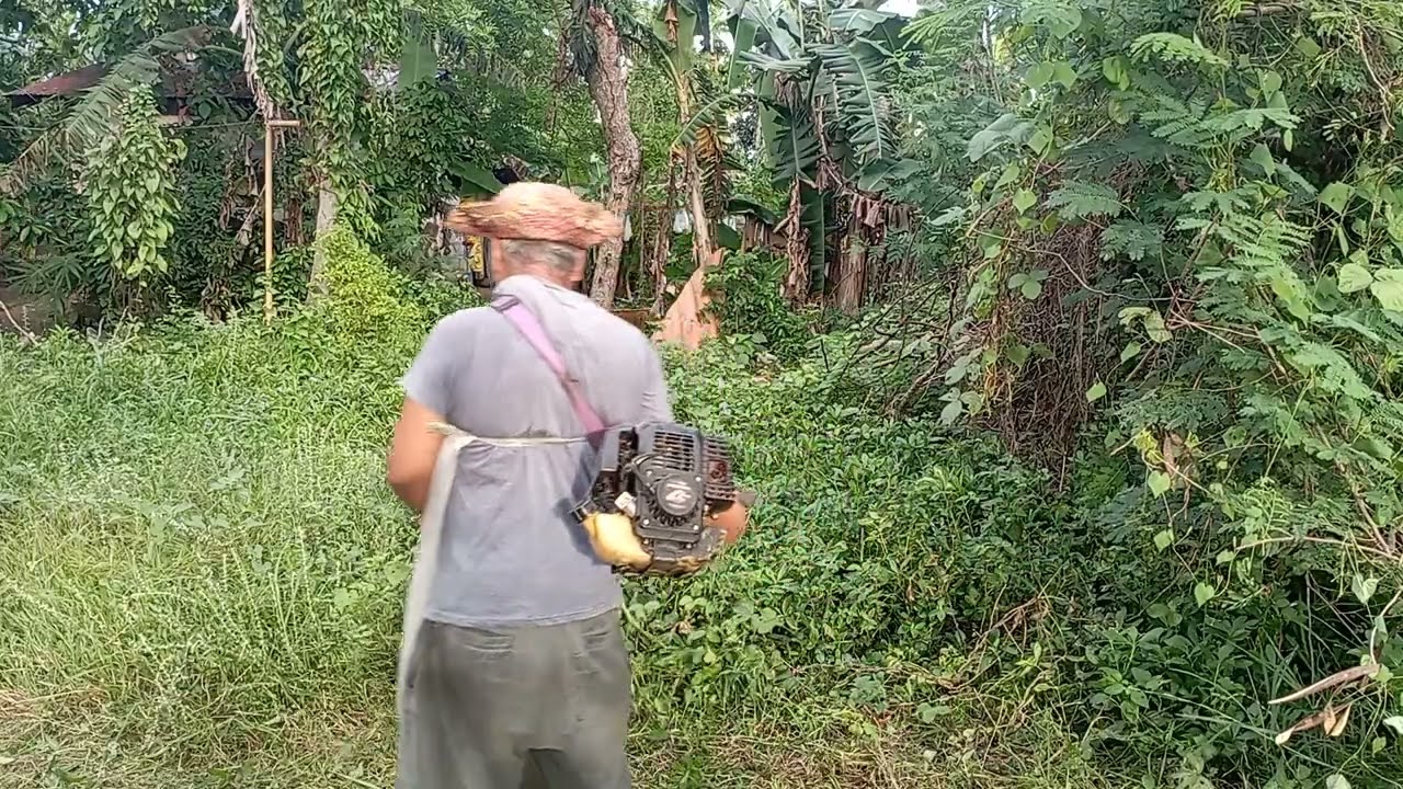 EP264 Cuttting grass in lawn area.
