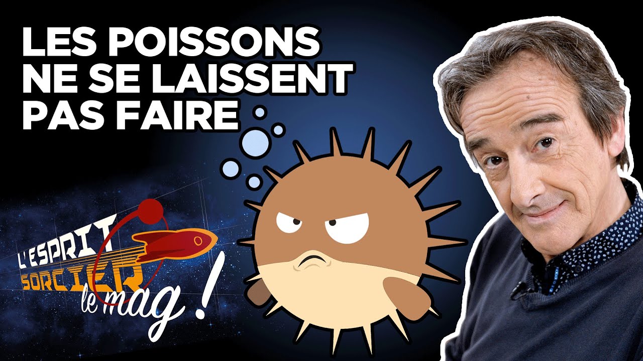 Les techniques de survie des poissons - L'Esprit Sorcier, le mag avec Fred Courant